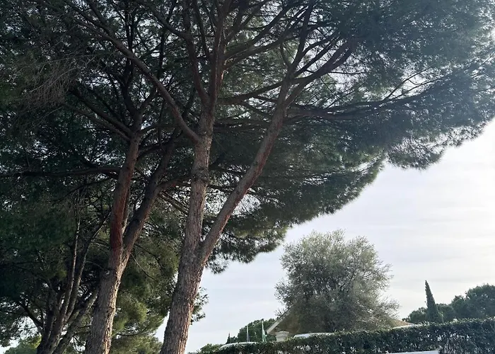 Boutique Apartment 365 - Marbella
