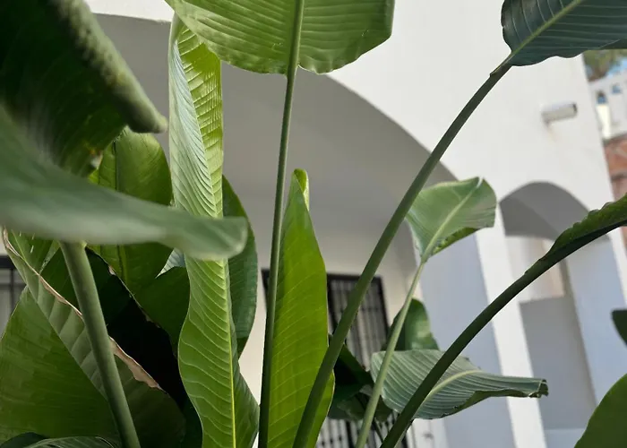 Boutique Apartment 365 - Marbella